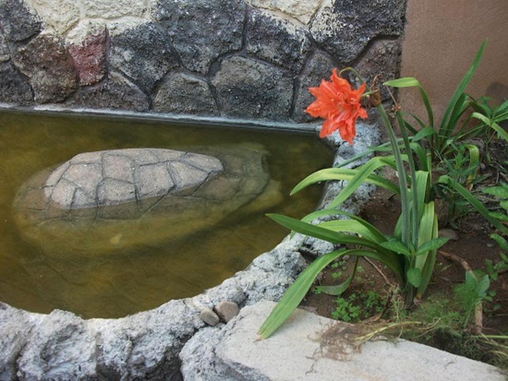 Hotel Bigu Puerto Escondido  Bagian luar foto